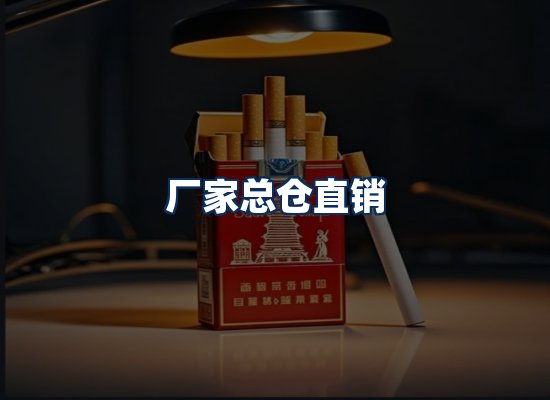 专业团队办公环境